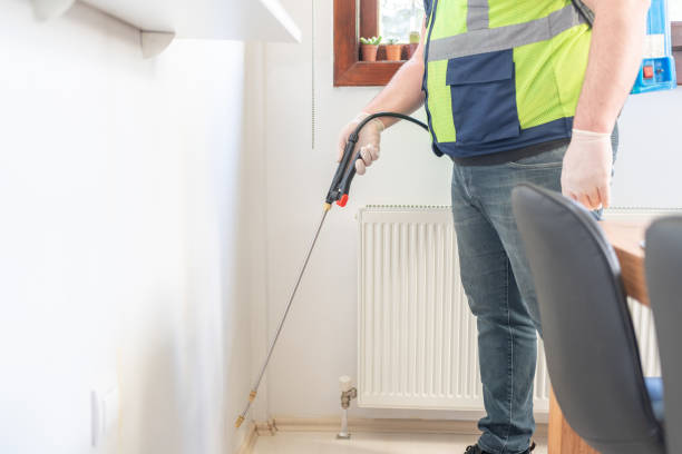 Best Termite Control Services  in Sheldon, TX