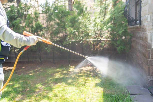 Best Pest Prevention Services  in Sheldon, TX