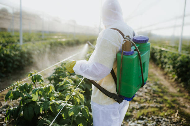 Reliable Sheldon, TX Pest Control Solutions
